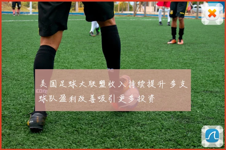 美国足球大联盟收入持续提升 多支球队盈利改善吸引更多投资