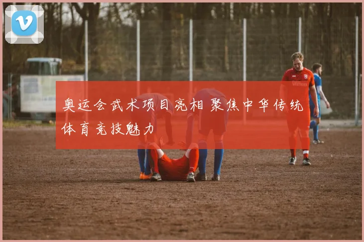 奥运会武术项目亮相 聚焦中华传统体育竞技魅力