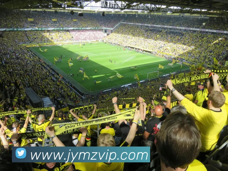 hth华体官方下载app平台生态图