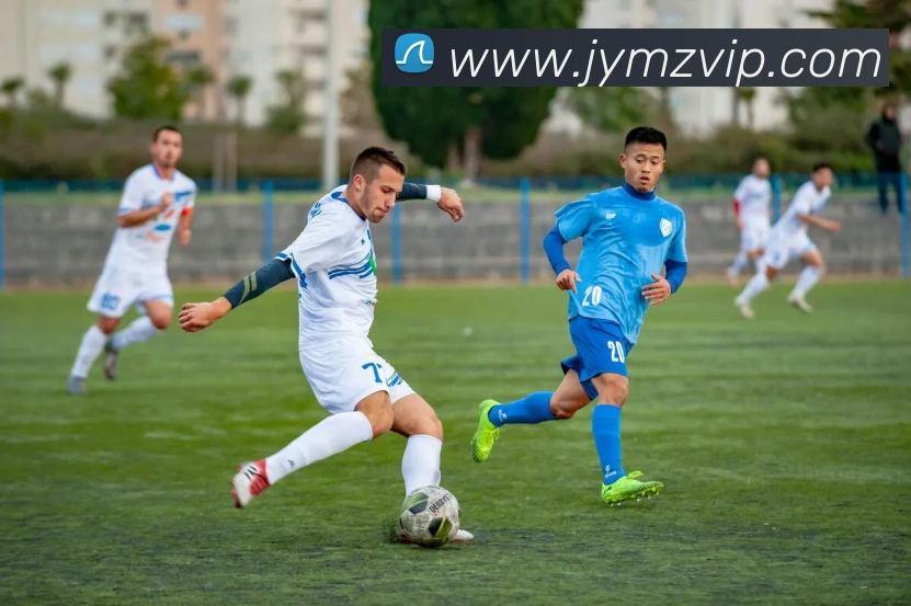 hth华体官方下载appAPP 封面图